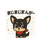 元気な黒チワワのひとことスタンプ（個別スタンプ：4）