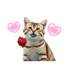 AIへの注文に失敗した  猫（個別スタンプ：5）