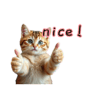 AIへの注文に失敗した  猫（個別スタンプ：6）