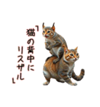 AIへの注文に失敗した  猫（個別スタンプ：20）