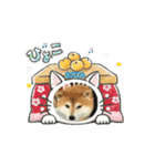吠えない犬くま（個別スタンプ：1）