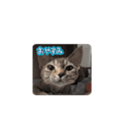 おネムのスタンプ（個別スタンプ：2）