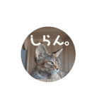 おネムのスタンプ（個別スタンプ：3）