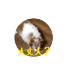元気なてっちゃんの動くスタンプです。（個別スタンプ：6）
