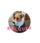 元気なてっちゃんの動くスタンプです。（個別スタンプ：10）