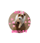 元気なてっちゃんの動くスタンプです。（個別スタンプ：13）