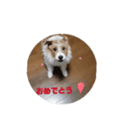 元気なてっちゃんの動くスタンプです。（個別スタンプ：15）