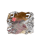 もつ•もったん1（個別スタンプ：7）
