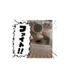 もつ•もったん1（個別スタンプ：14）