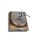 もつ•もったん1（個別スタンプ：15）