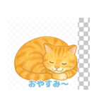 茶トラ猫のほのぼのスタンプ（8個）（個別スタンプ：4）