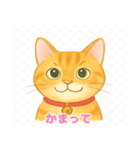 茶トラ猫のほのぼのスタンプ（8個）（個別スタンプ：5）
