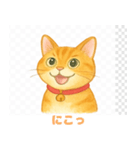 茶トラ猫のほのぼのスタンプ（8個）（個別スタンプ：8）