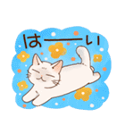 猫と花の穏やかスタンプ（個別スタンプ：4）