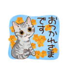 猫と花の穏やかスタンプ（個別スタンプ：5）