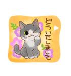 猫と花の穏やかスタンプ（個別スタンプ：10）