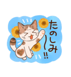 猫と花の穏やかスタンプ（個別スタンプ：25）