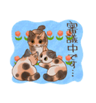 猫と花の穏やかスタンプ（個別スタンプ：30）