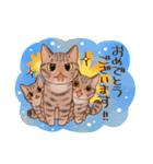 猫と花の穏やかスタンプ（個別スタンプ：32）