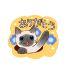 猫と花の穏やかスタンプ（個別スタンプ：33）