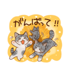 猫と花の穏やかスタンプ（個別スタンプ：35）