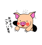 ブタちゃんの日常会話（個別スタンプ：1）