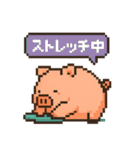 ダイエットに励むブタのスタンプ（個別スタンプ：16）