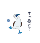本音de鳥（個別スタンプ：9）