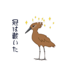 本音de鳥（個別スタンプ：12）