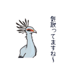 本音de鳥（個別スタンプ：13）