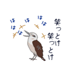 本音de鳥（個別スタンプ：17）