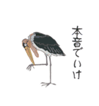 本音de鳥（個別スタンプ：23）
