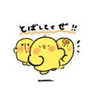 子ぴよの日常スタンプ（個別スタンプ：1）