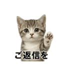 ビジネスで使える子猫のマンチカン（個別スタンプ：7）