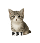 ビジネスで使える子猫のマンチカン（個別スタンプ：13）