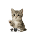 ビジネスで使える子猫のマンチカン（個別スタンプ：15）