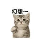 子猫のマンチカン。アニメ、マンガ言葉集（個別スタンプ：1）