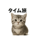 子猫のマンチカン。アニメ、マンガ言葉集（個別スタンプ：3）