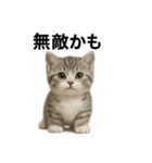 子猫のマンチカン。アニメ、マンガ言葉集（個別スタンプ：5）