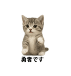 子猫のマンチカン。アニメ、マンガ言葉集（個別スタンプ：10）