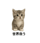 子猫のマンチカン。アニメ、マンガ言葉集（個別スタンプ：11）