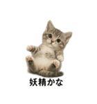 子猫のマンチカン。アニメ、マンガ言葉集（個別スタンプ：12）