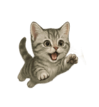 子猫のマンチカン。アニメ、マンガ言葉集（個別スタンプ：13）