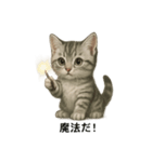 子猫のマンチカン。アニメ、マンガ言葉集（個別スタンプ：14）