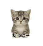 子猫マンチカンの赤ちゃん言葉集（個別スタンプ：3）