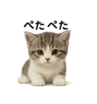 子猫マンチカンの赤ちゃん言葉集（個別スタンプ：5）