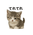 子猫マンチカンの赤ちゃん言葉集（個別スタンプ：6）