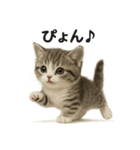 子猫マンチカンの赤ちゃん言葉集（個別スタンプ：8）