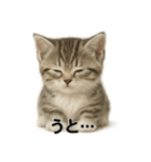 子猫マンチカンの赤ちゃん言葉集（個別スタンプ：10）