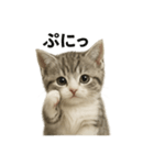 子猫マンチカンの赤ちゃん言葉集（個別スタンプ：13）